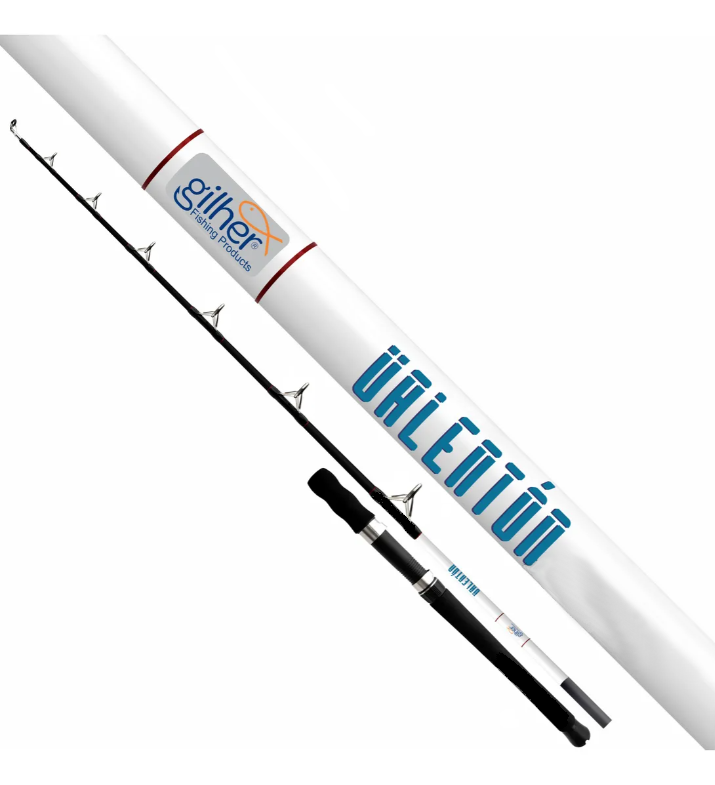 Caña Spinning Valenton